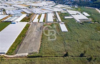 CB ARDEN'DEN ANTALYA KAŞ YEŞİLKÖY SATILIK MÜSTAKİL TARLA