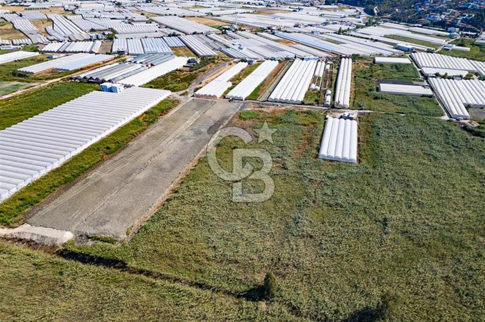 CB ARDEN'DEN ANTALYA KAŞ YEŞİLKÖY SATILIK MÜSTAKİL TARLA