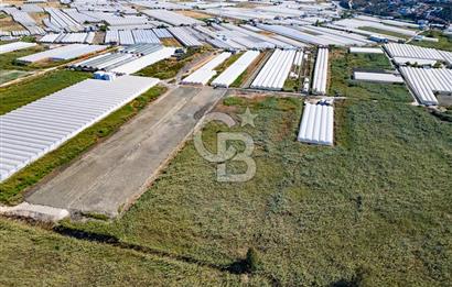 CB ARDEN'DEN ANTALYA KAŞ YEŞİLKÖY SATILIK MÜSTAKİL TARLA