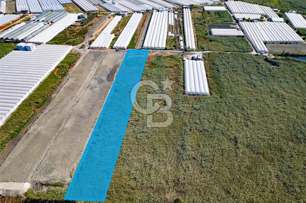 CB ARDEN'DEN ANTALYA KAŞ YEŞİLKÖY SATILIK MÜSTAKİL TARLA