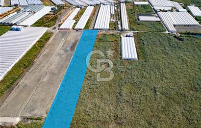 CB ARDEN'DEN ANTALYA KAŞ YEŞİLKÖY SATILIK MÜSTAKİL TARLA