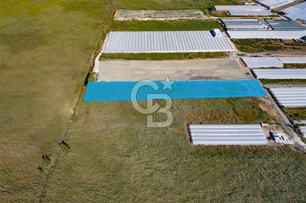 CB ARDEN'DEN ANTALYA KAŞ YEŞİLKÖY SATILIK MÜSTAKİL TARLA