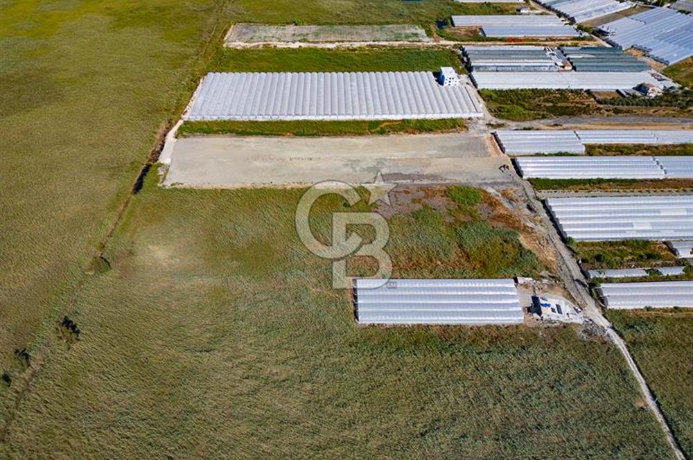 CB ARDEN'DEN ANTALYA KAŞ YEŞİLKÖY SATILIK MÜSTAKİL TARLA