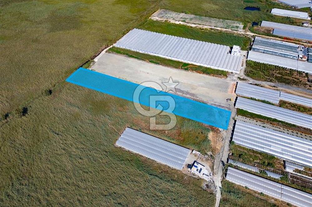 CB ARDEN'DEN ANTALYA KAŞ YEŞİLKÖY SATILIK MÜSTAKİL TARLA