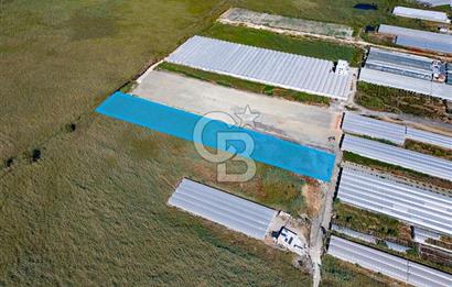 CB ARDEN'DEN ANTALYA KAŞ YEŞİLKÖY SATILIK MÜSTAKİL TARLA