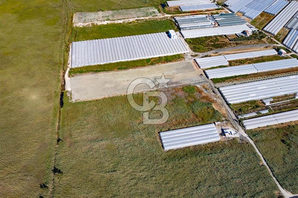 CB ARDEN'DEN ANTALYA KAŞ YEŞİLKÖY SATILIK MÜSTAKİL TARLA