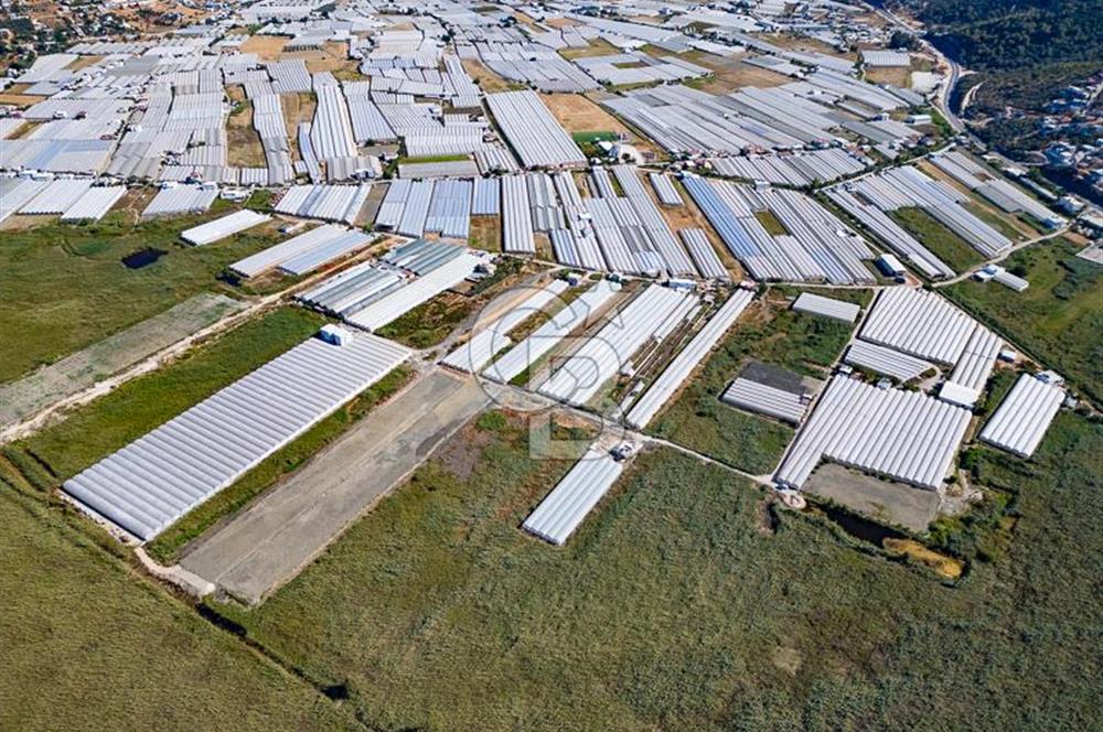 CB ARDEN'DEN ANTALYA KAŞ YEŞİLKÖY SATILIK MÜSTAKİL TARLA