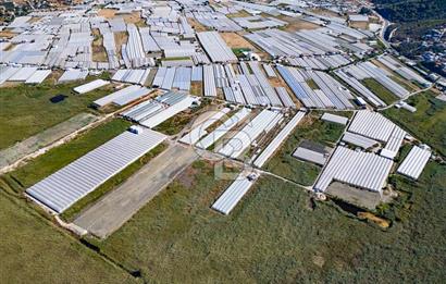 CB ARDEN'DEN ANTALYA KAŞ YEŞİLKÖY SATILIK MÜSTAKİL TARLA