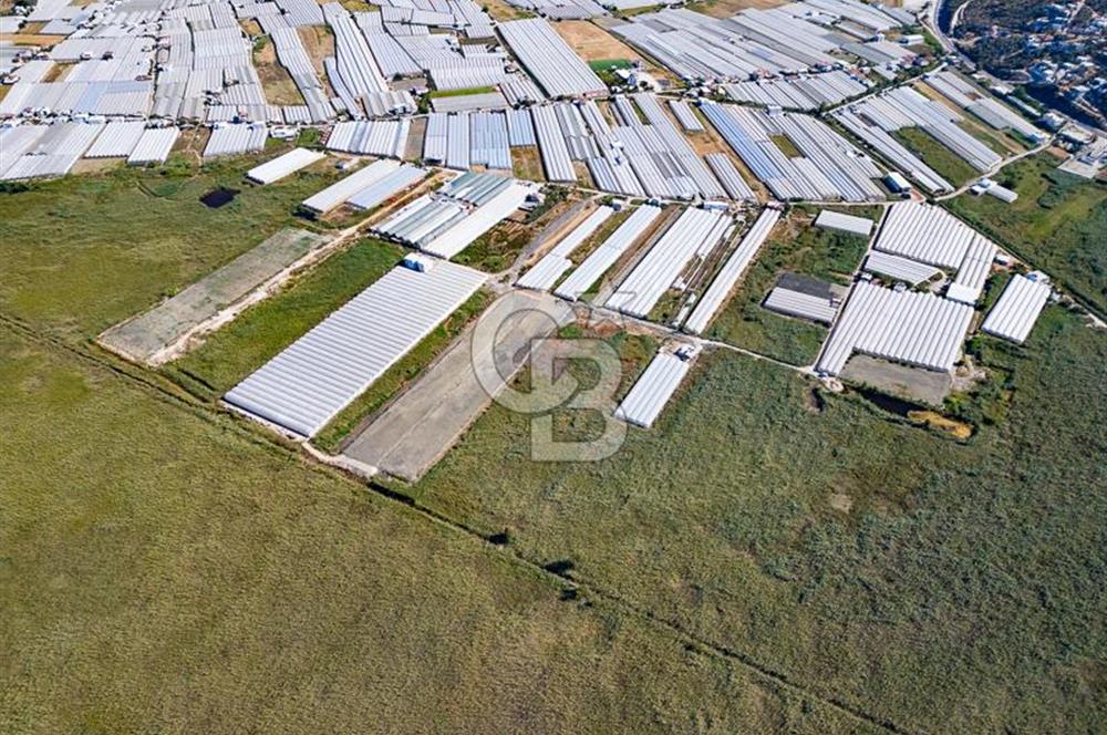 CB ARDEN'DEN ANTALYA KAŞ YEŞİLKÖY SATILIK MÜSTAKİL TARLA