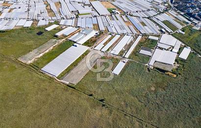 CB ARDEN'DEN ANTALYA KAŞ YEŞİLKÖY SATILIK MÜSTAKİL TARLA