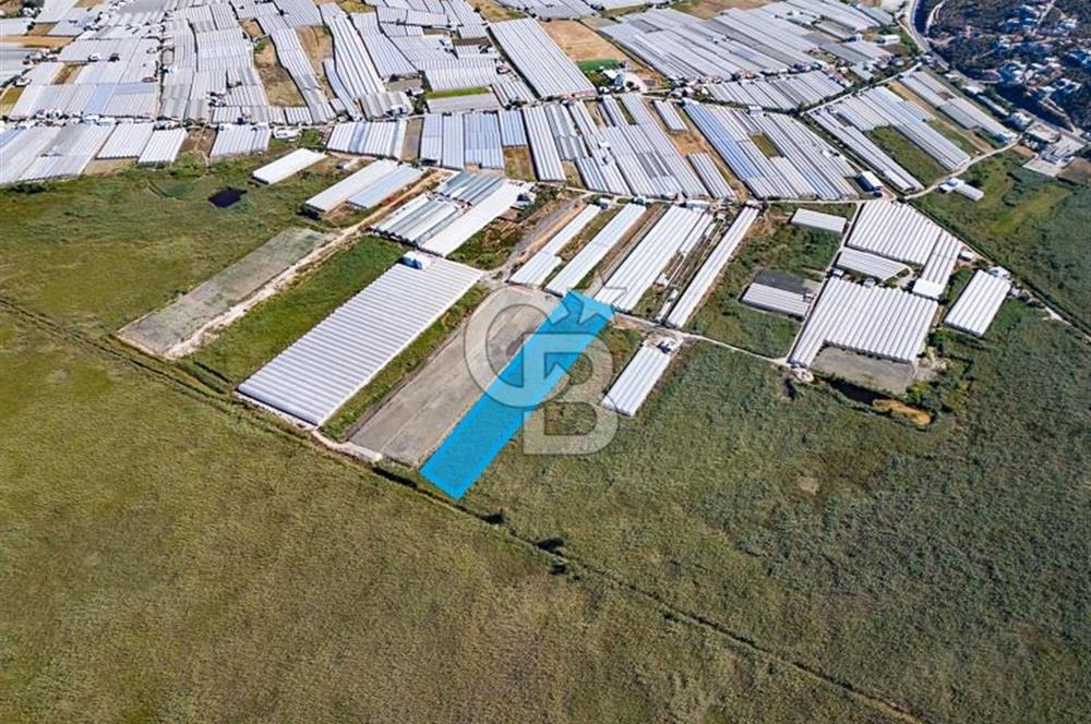 CB ARDEN'DEN ANTALYA KAŞ YEŞİLKÖY SATILIK MÜSTAKİL TARLA