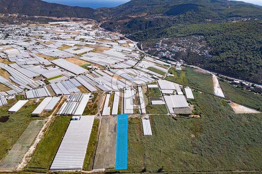 CB ARDEN'DEN ANTALYA KAŞ YEŞİLKÖY SATILIK MÜSTAKİL TARLA