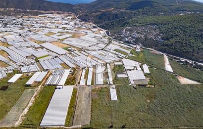 CB ARDEN'DEN ANTALYA KAŞ YEŞİLKÖY SATILIK MÜSTAKİL TARLA