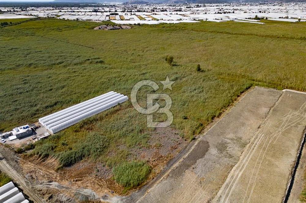 CB ARDEN'DEN ANTALYA KAŞ YEŞİLKÖY SATILIK MÜSTAKİL TARLA