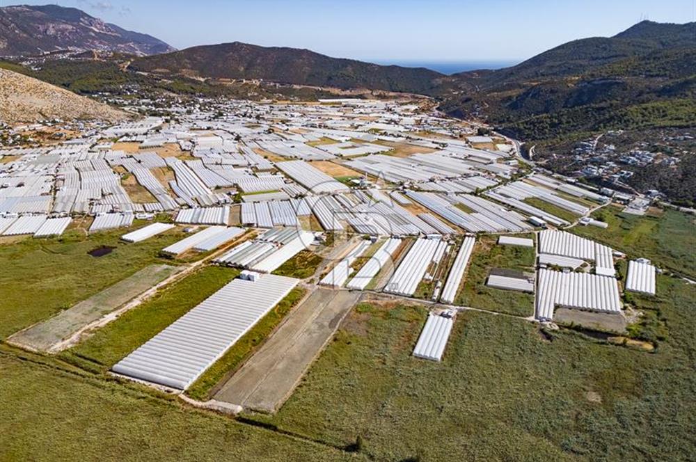 CB ARDEN'DEN ANTALYA KAŞ YEŞİLKÖY SATILIK MÜSTAKİL TARLA