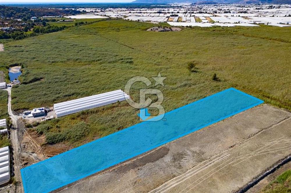 CB ARDEN'DEN ANTALYA KAŞ YEŞİLKÖY SATILIK MÜSTAKİL TARLA