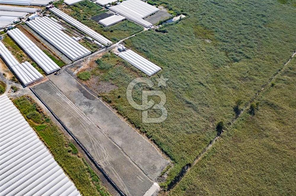 CB ARDEN'DEN ANTALYA KAŞ YEŞİLKÖY SATILIK MÜSTAKİL TARLA