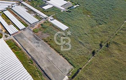 CB ARDEN'DEN ANTALYA KAŞ YEŞİLKÖY SATILIK MÜSTAKİL TARLA