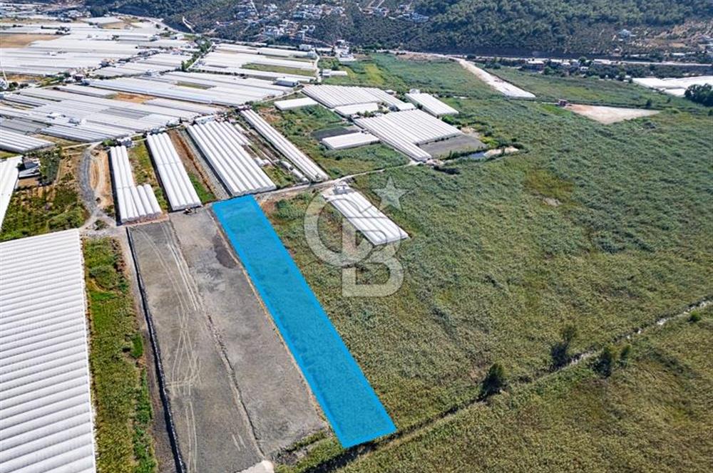 CB ARDEN'DEN ANTALYA KAŞ YEŞİLKÖY SATILIK MÜSTAKİL TARLA