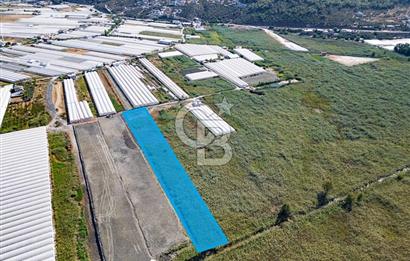 CB ARDEN'DEN ANTALYA KAŞ YEŞİLKÖY SATILIK MÜSTAKİL TARLA