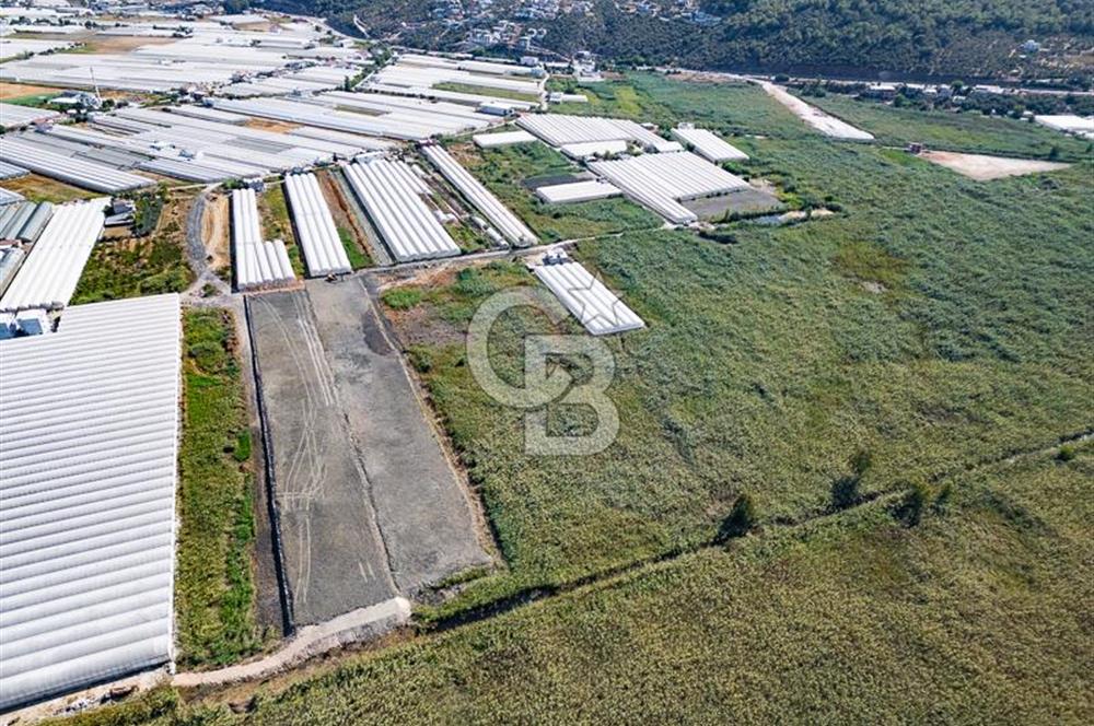 CB ARDEN'DEN ANTALYA KAŞ YEŞİLKÖY SATILIK MÜSTAKİL TARLA