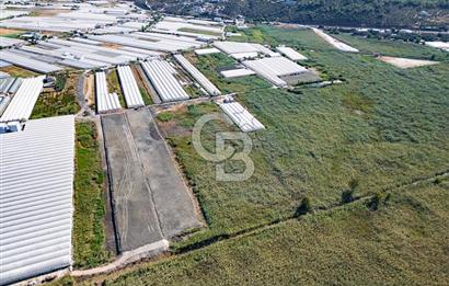 CB ARDEN'DEN ANTALYA KAŞ YEŞİLKÖY SATILIK MÜSTAKİL TARLA
