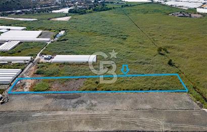 CB ARDEN'DEN ANTALYA KAŞ YEŞİLKÖY SATILIK MÜSTAKİL TARLA