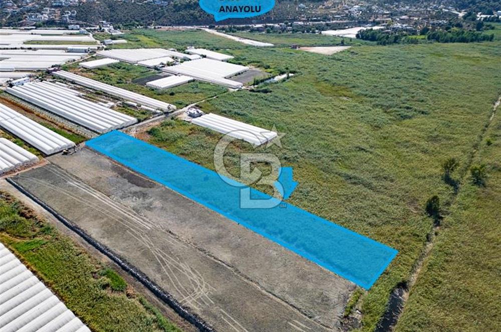 CB ARDEN'DEN ANTALYA KAŞ YEŞİLKÖY SATILIK MÜSTAKİL TARLA