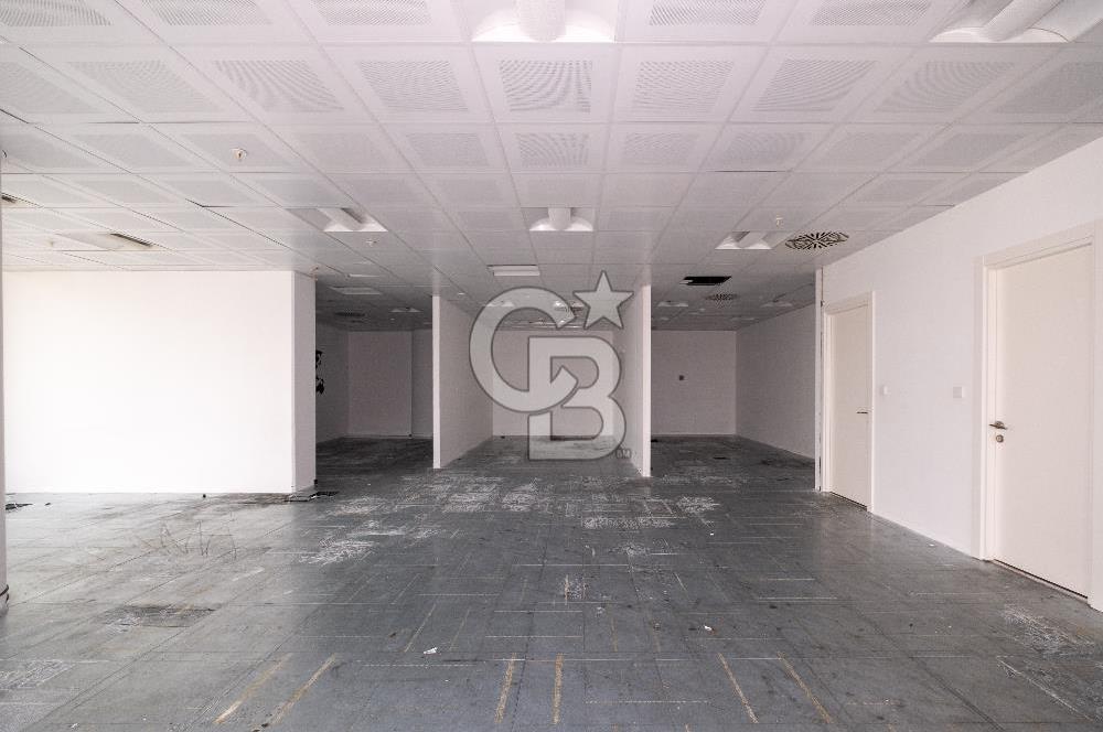 TEKSTİLKENT KOZA PLAZA SATILIK 352 M2 OFİS & PLAZA KATI