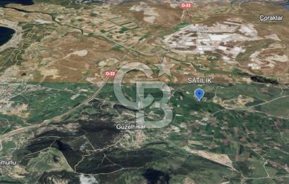 CB ODAKTAN ALİAG GÜZELHİSARDA SATLIK ZEYTİNLİK