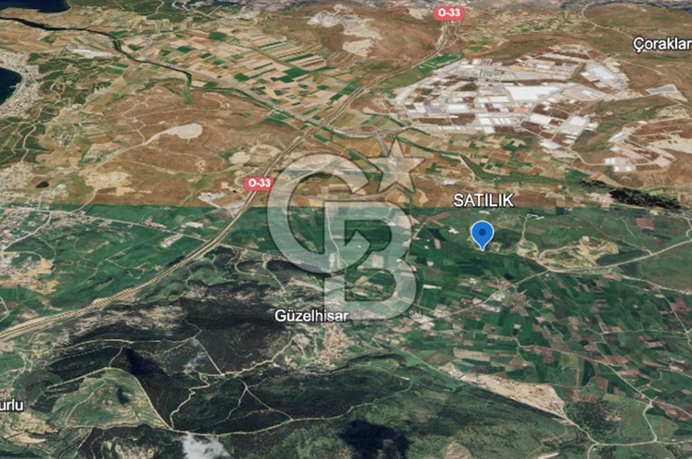 CB ODAKTAN ALİAG GÜZELHİSARDA SATLIK ZEYTİNLİK