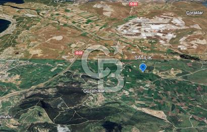 CB ODAKTAN ALİAG GÜZELHİSARDA SATLIK ZEYTİNLİK