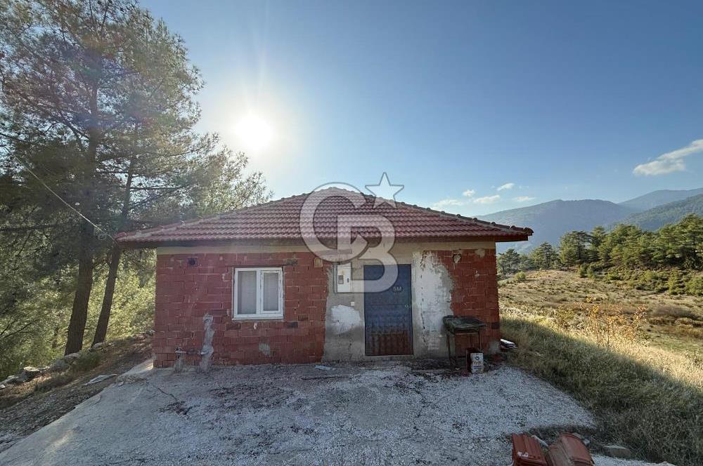 CB ARDEN'DEN ANTALYA KAŞ SATILIK 28000 M2 TARLA VE MÜSTAKİL EV