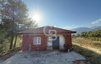 CB ARDEN'DEN ANTALYA KAŞ SATILIK 28000 M2 TARLA VE MÜSTAKİL EV