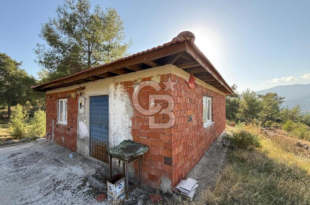 CB ARDEN'DEN ANTALYA KAŞ SATILIK 28000 M2 TARLA VE MÜSTAKİL EV