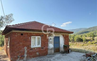 CB ARDEN'DEN ANTALYA KAŞ SATILIK 28000 M2 TARLA VE MÜSTAKİL EV