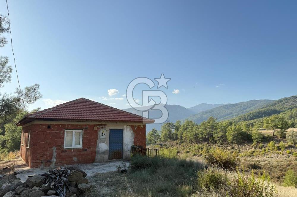 CB ARDEN'DEN ANTALYA KAŞ SATILIK 28000 M2 TARLA VE MÜSTAKİL EV