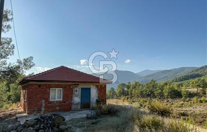 CB ARDEN'DEN ANTALYA KAŞ SATILIK 28000 M2 TARLA VE MÜSTAKİL EV