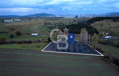 CB ODAKTAN ALİAG GÜZELHİSARDA SATLIK ZEYTİNLİK