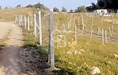 Damlacıkta tel örgü çevrili satılık parseller