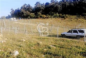 Damlacıkta tel örgü çevrili satılık parseller - 2 - 324048