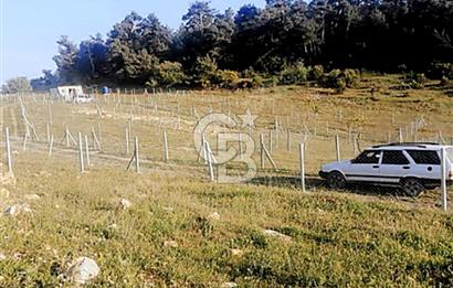 Damlacıkta tel örgü çevrili satılık parseller
