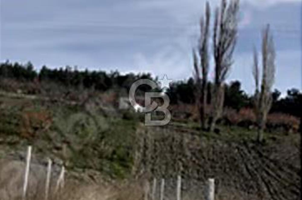 Beşyol köyü rızai taksimli siteler bölgesinde tel çevrili