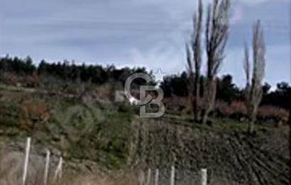 Beşyol köyü rızai taksimli siteler bölgesinde tel çevrili