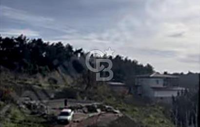 Beşyol köyü rızai taksimli siteler bölgesinde tel çevrili