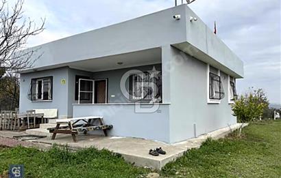 Menderes bulgurcada 3130m2 bahçe içinde müstakil ev