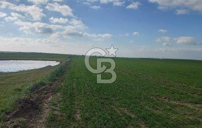 Tekirdağ Marmaraereğli Yakuplu Mahallesinde Satılık 22.920 M2 Tarla