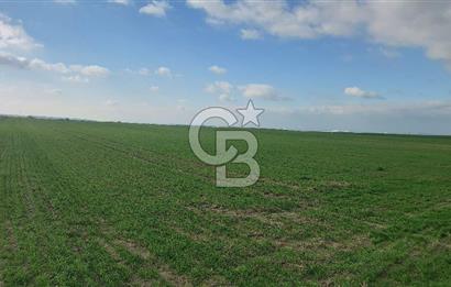 Tekirdağ Marmaraereğli Yakuplu Mahallesinde Satılık 22.920 M2 Tarla