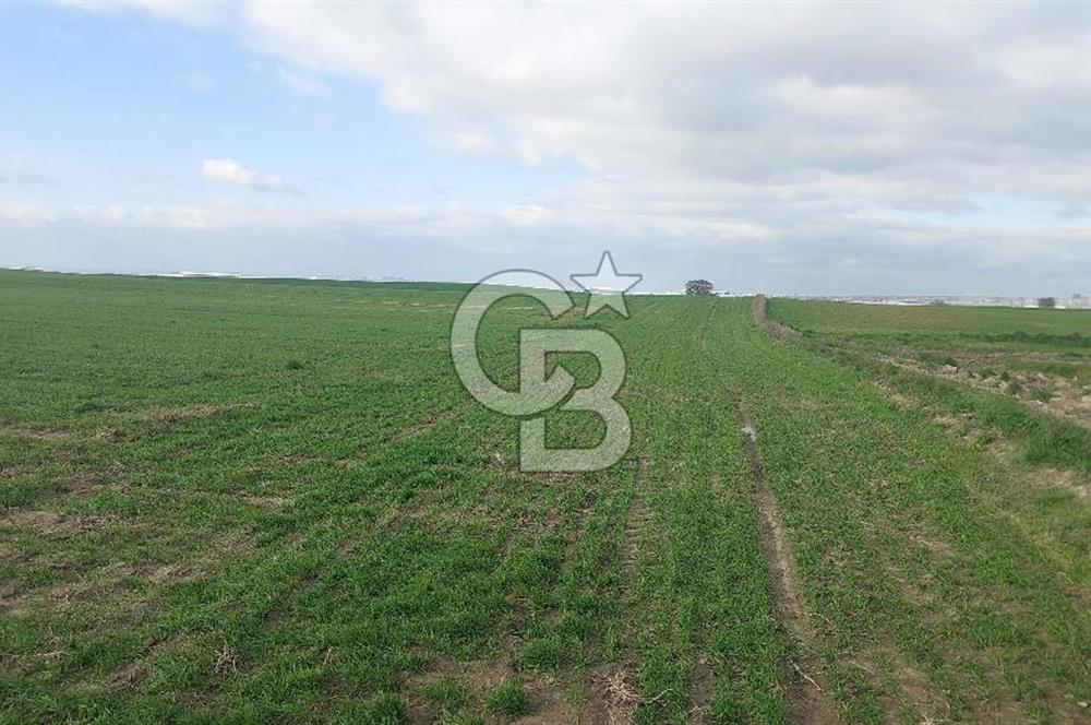 Tekirdağ Marmaraereğli Yakuplu Mahallesinde Satılık 22.920 M2 Tarla
