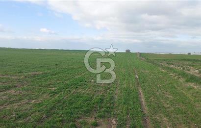 Tekirdağ Marmaraereğli Yakuplu Mahallesinde Satılık 22.920 M2 Tarla